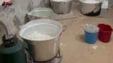 Roma e Civitavecchia, la mappa del narcotraffico: 800 chili di cocaina, corrieri, doppi fondi e la raffineria segreta (FOTO E VIDEO)