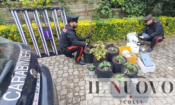 Cerveteri - La droga e il materiale sequestrati dai Carabinieri