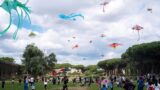 Roma, torna il Festival degli Aquiloni 2026: tre giorni gratis tra spettacoli, musica, cinema e un viaggio in Cina in palio