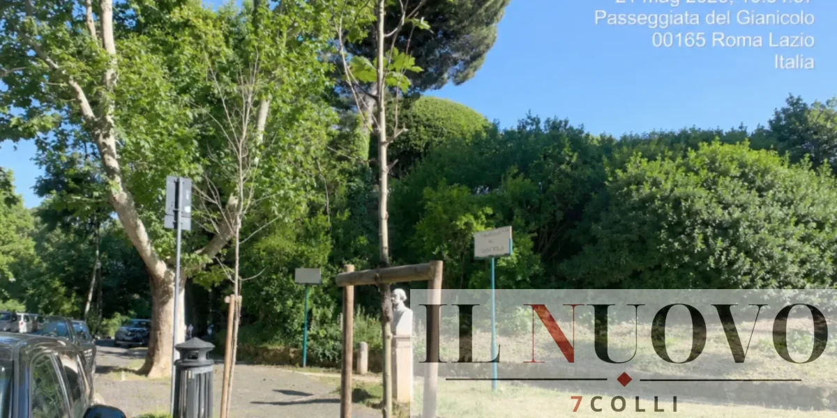 La foto che ci è stata inviata dalla letterice, segnalazione firmata