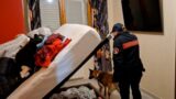 Blitz antimafia, droga dal Belgio, armi e minacce ai debitori: 19 arresti tra Aprilia, Anzio, Nettuno, Ciampino, Velletri e Cisterna (VIDEO)