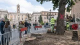 Roma, nessuno vuole il ruolo da Direttore del Dipartimento Ambientale ‘Abbatti-Alberi’: via al nuovo bando