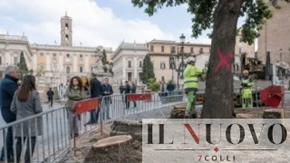 Roma, nessuno vuole il ruolo da Direttore del Dipartimento Ambientale ‘Abbatti-Alberi’: via al nuovo bando