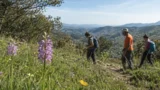 Orchidee selvatiche a Orvinio: sabato 9 maggio escursione gratuita sui Monti Lucretili