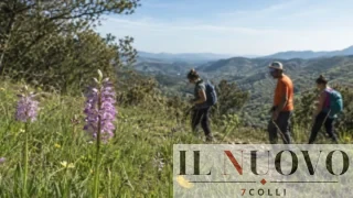 Orchidee selvatiche a Orvinio: sabato 9 maggio escursione gratuita sui Monti Lucretili
