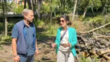 “Roma, per il nuovo cancello di villa Ada abbattute decine di alberi”: la nuova video denuncia del consigliere Giannini (Lega)