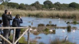 Ostia, parte il weekend Lipu tra fenicotteri e aironi: tutte le informazioni