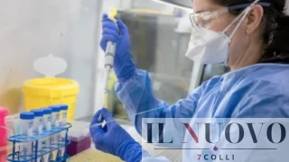 Hantavirus, infezione grave ma non pandemia: il rischio per la popolazione resta molto basso