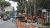 Roma-Eur, motoseghe sulla Colombo: alberi giù, fermata Atac sospesa e Trasparenza ancora negata ai cittadini