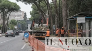 Roma-Eur, motoseghe sulla Colombo: alberi giù, fermata Atac sospesa e Trasparenza ancora negata ai cittadini