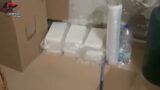 Roma, 500 chili di cocaina l’anno dal Sud America al litorale romano: 8 arresti all’alba (VIDEO)