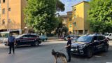 Acilia e Dragona, elicottero in volo e blitz dei Carabinieri: 3 arresti, 16 denunce e quasi 19mila euro sequestrati (VIDEO)