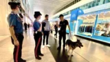 Termini, stretta contro borseggiatori, spacciatori e Daspo violati: 7 arresti nel cuore di Roma
