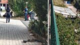Roma, a Casal Monastero dopo l’incendio spunta una bombola del gas: “Qui i nostri figli giocano accanto a una bomba”