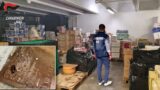Latina, escrementi di roditori e blatte tra gli alimenti: chiuso deposito di un grande supermercato