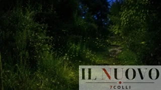 Roma, notte magica tra le lucciole: passeggiata gratuita nella Riserva per grandi e piccoli. Tutte le informazioni