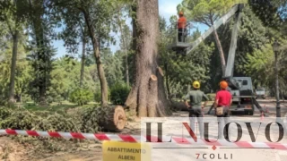 Roma, motoseghe a Villa Borghese: la Trasparenza del Campidoglio finisce di nuovo sotto accusa