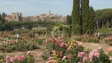 Roma, il giardino segreto ai piedi del Palatino: il Roseto gratis resta aperto fino al 14 giugno