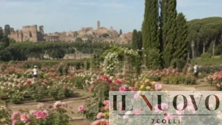 Roma, il giardino segreto ai piedi del Palatino: il Roseto gratis resta aperto fino al 14 giugno