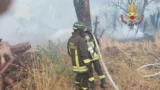 Fiamme a Castel Porziano, paura in via del Lido: case evacuate per precauzione