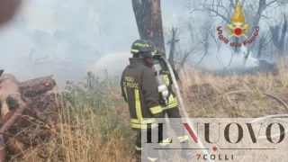 Fiamme a Castel Porziano, paura in via del Lido: case evacuate per precauzione