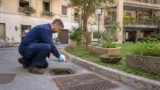 Zanzare a Roma, stop alle disinfestazioni “a pioggia”: ecco cosa impone davvero ai condomini l’ordinanza del Comune