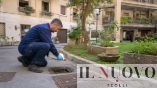 Zanzare a Roma, stop alle disinfestazioni “a pioggia”: ecco cosa impone davvero ai condomini l’ordinanza del Comune
