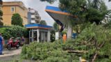 Nubifragio a Roma, tromba d’aria a Montesacro: alberi crollati e traffico in tilt (VIDEO)