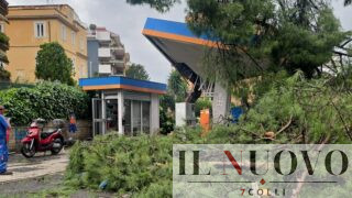 Nubifragio a Roma, tromba d’aria a Montesacro: alberi crollati e traffico in tilt (VIDEO)