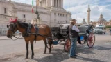 Roma pronta a dire addio alle botticelle, Mussolini (FI): “Una battaglia di civiltà”