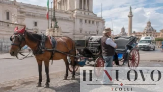 Roma pronta a dire addio alle botticelle, Mussolini (FI): “Una battaglia di civiltà”