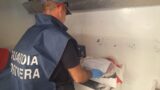 Roma, ristorante da incubo: muffa, sporcizia, cibo ricongelato dopo lo scongelamento e un volatile in cucina