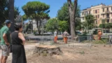 Roma taglia ancora alberi in tre parchi: una città sempre più senza ombra e Trasparenza