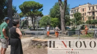 Roma taglia ancora alberi in tre parchi: una città sempre più senza ombra e Trasparenza