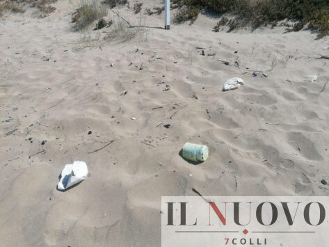 rifiuti spiaggia Tor San Lorenzo
