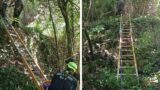 Nemi, trovato un cadavere in un dirupo vicino al Tempio di Diana: è un 75enne del posto