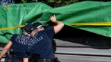 Roma, trasporta illegalmente 3,5 tonnellate di rifiuti speciali e pericolosi all’Appio Latino: “Li ho presi qui vicino”