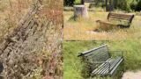 Villa Celimontana, la denuncia di Giannini: “Panchine inghiottite dall’erba e giochi sotto il sole”. Affondo contro Gualtieri (VIDEO)