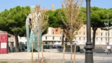 Roma sempre più desertica, altri alberi morti a Termini accanto la statua di Papa Wojtyla: “Erano stati piantati la scorsa primavera”
