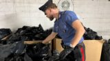 Ardea, sequestrati oltre 100 chili di oppio pronti per lo spaccio: quattro arresti (VIDEO)