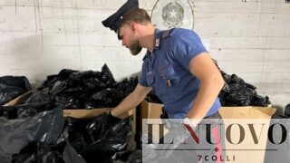 Ardea, sequestrati oltre 100 chili di oppio pronti per lo spaccio: quattro arresti (VIDEO)