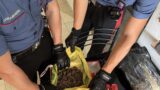 Roma, droga nascosta nel frigorifero nel Bronx di Torrevecchia: 6 arresti e oltre 5 chili di stupefacenti sequestrati (FOTO E VIDEO)