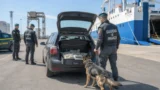 Porto di Civitavecchia, 80 kg di marijuana nascosti in una valigia, tra i vestiti: arrestato il corriere