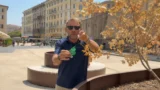 “Piazza Risorgimento simbolo del flop ‘green’ di Gualtieri: alberi secchi e temperatura a 60 gradi”: la denuncia di Giannini (Lega)
