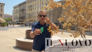 “Piazza Risorgimento simbolo del flop ‘green’ di Gualtieri: alberi secchi e temperatura a 60 gradi”: la denuncia di Giannini (Lega)