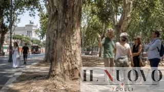 Emergenza alberi a Roma, Italia Nostra inchioda Gualtieri: “Basta annunci stampa, servono Trasparenza e tutela vera”
