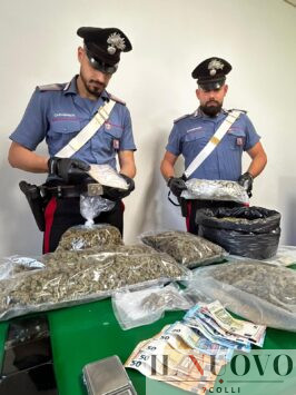 La droga sequestrata
