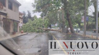 Roma si sveglia sotto il nubifragio: tuoni, raffiche di vento e alberi caduti. Chiusa la Cassia, allerta meteo gialla nel Lazio (FOTO)