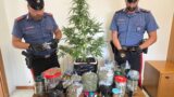 Nettuno, in auto con la marijuana: in casa aveva oltre un chilo e mezzo di droga, arrestato 48enne