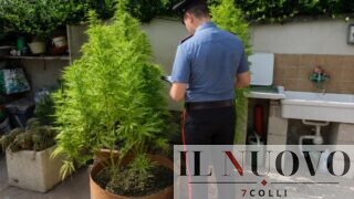 Ostia Antica, ‘affari di famiglia’: serra di cannabis in casa, marito e moglie arrestati
